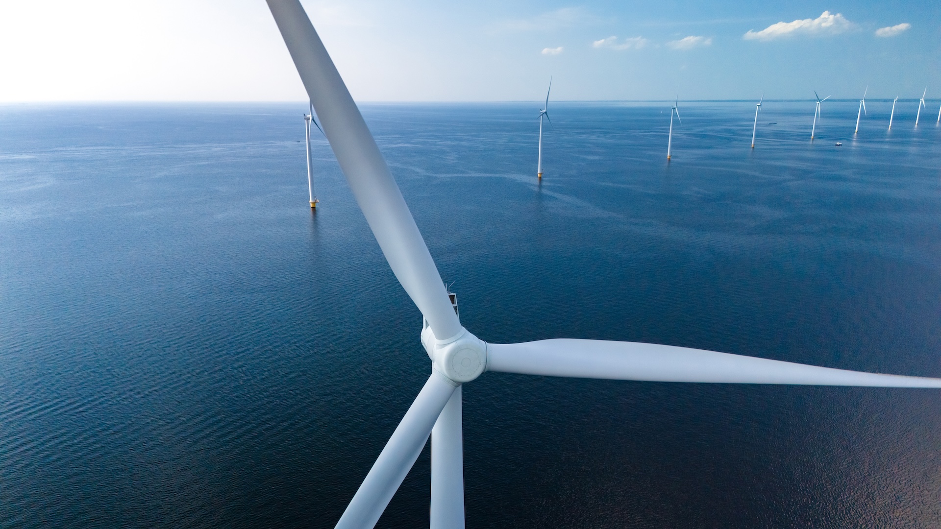 Wind turbines with carbon fiber blades, designed for efficiency and durability.